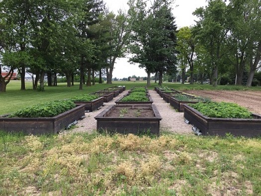 The Community Garden at The Bellevue Hospital in Ohio